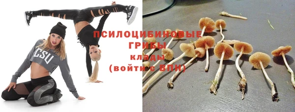 jwh Бородино