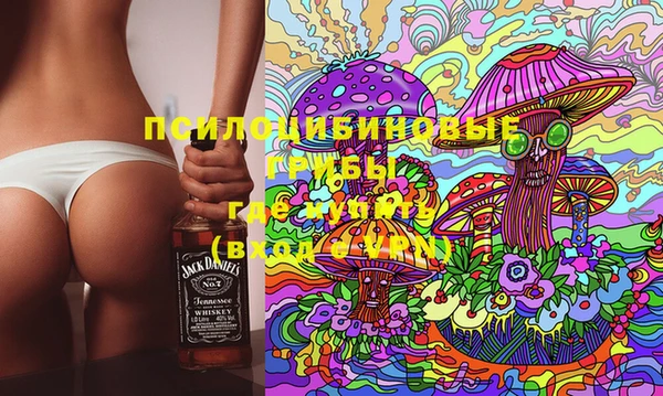 гидропоника Богородицк